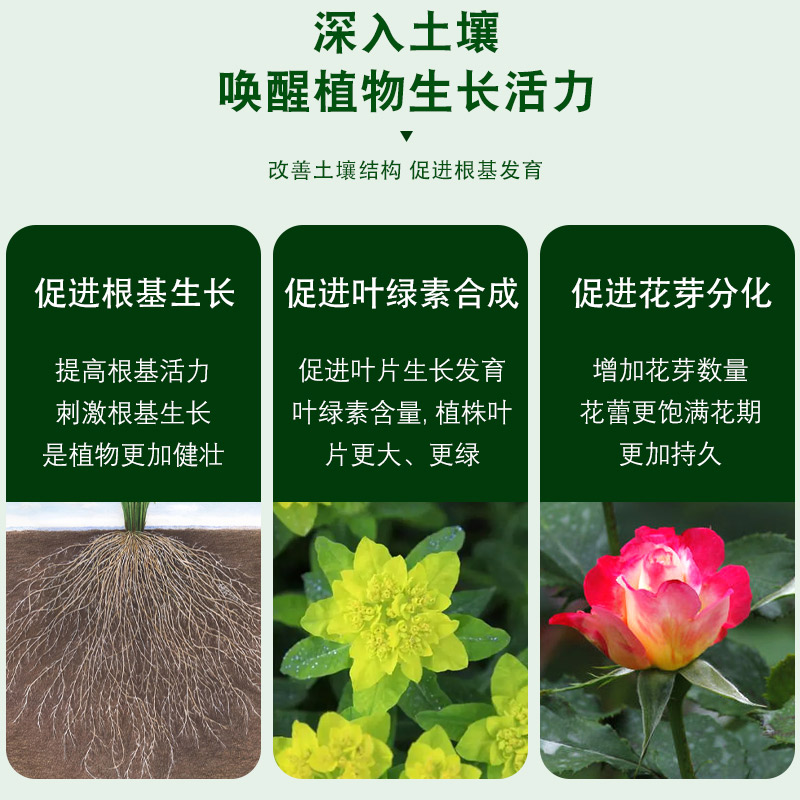 琪奥鸿含腐植酸水溶肥生根促芽改良土壤营养全面开花抗病产品-图1