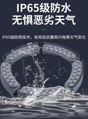 LED抱树灯超亮户外防水环形插地射树灯景观市政七彩圆形箍抱柱灯