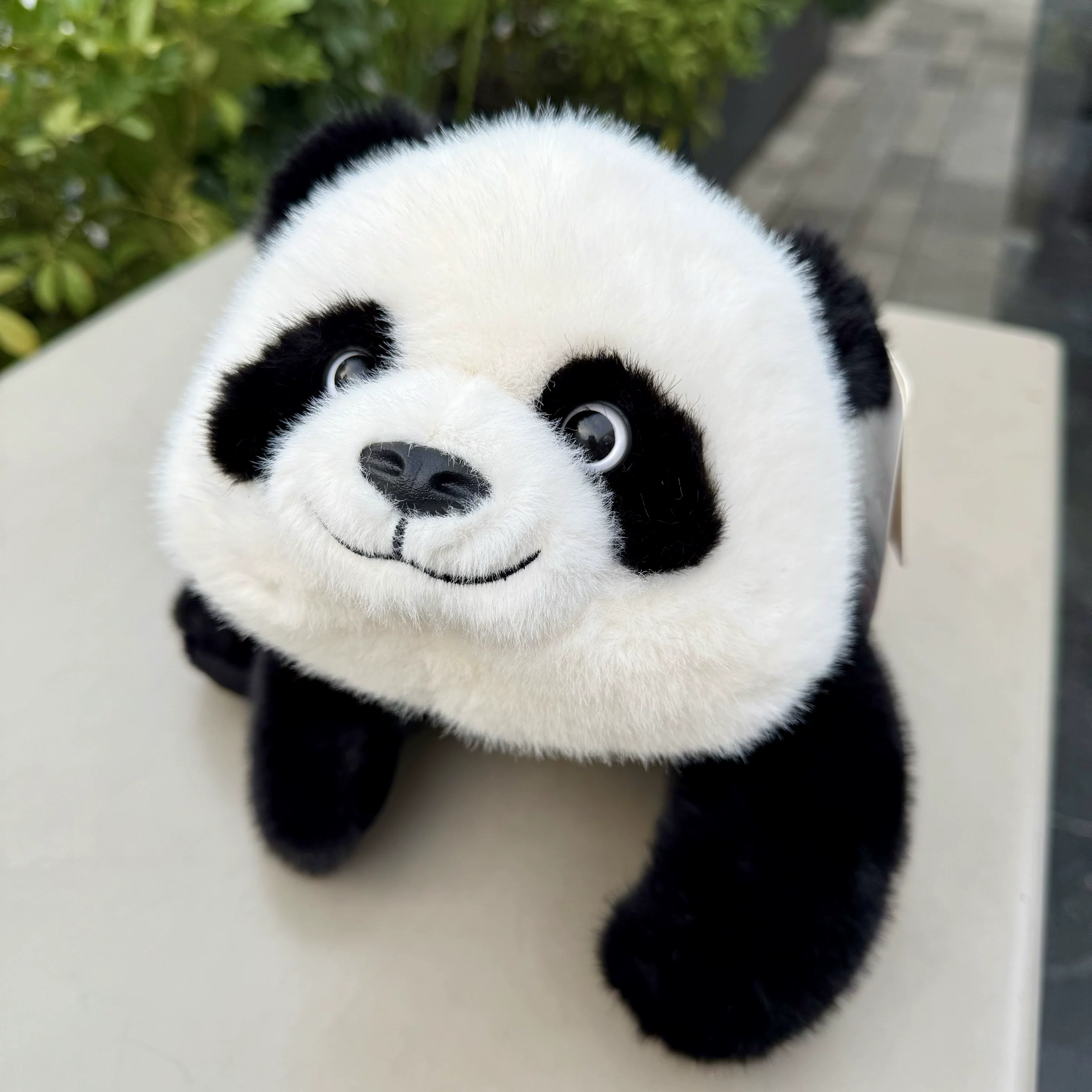 非常宝贝三姿趴趴小熊猫玩偶毛绒玩具成都熊猫纪念品儿童生日礼物,淘宝优惠券,粉丝福利购,淘宝优惠卷