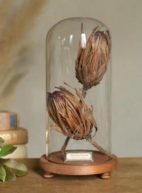 样板间轻奢植物标本装饰品玻璃罩摆件书房精油花艺中草药覆古简约