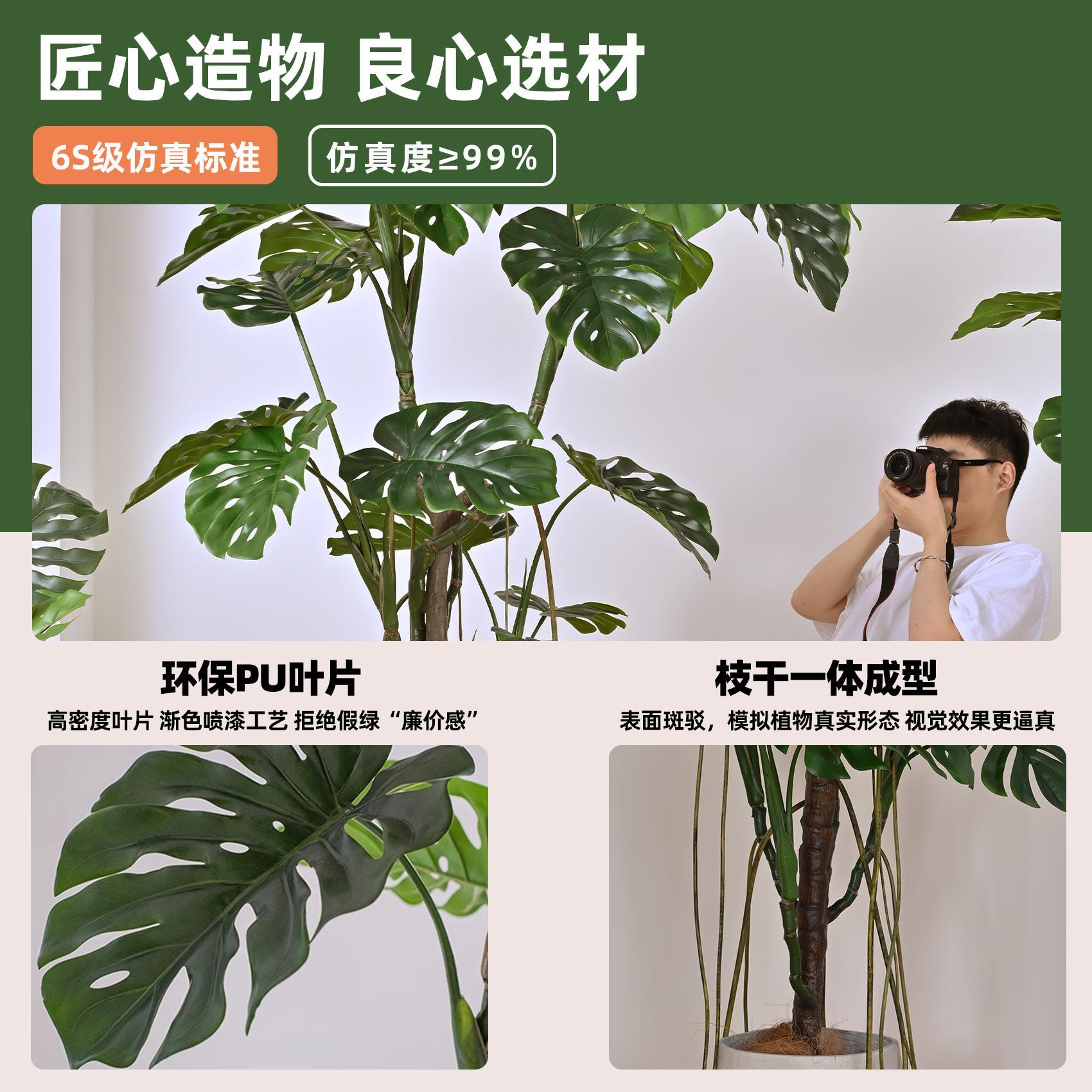 彷真绿色植物高端盆栽轻奢龟背芋大型装饰植物室内客厅落地摆件彷 - 图3