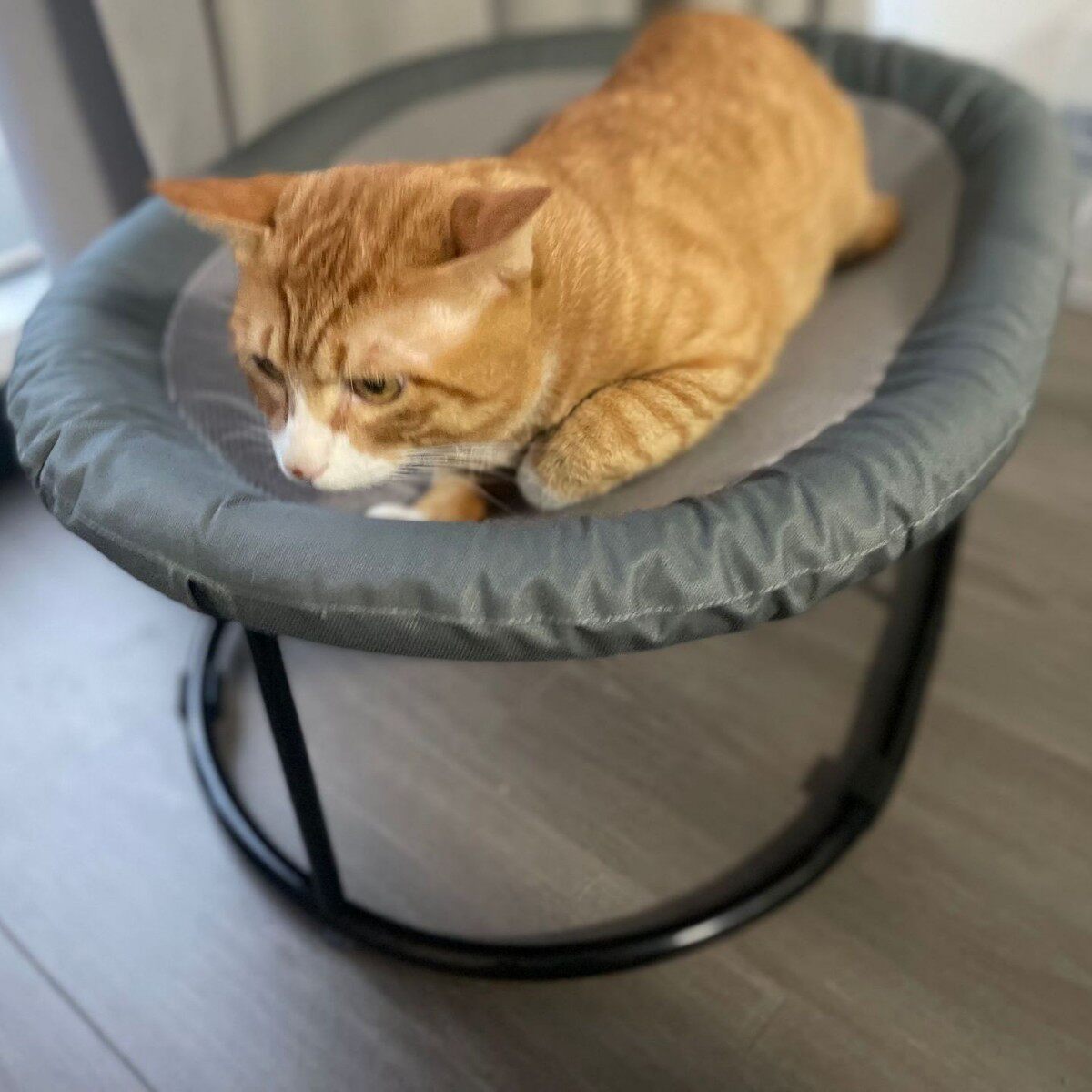 爆品猫窝猫床猫咪床保暖猫吊床四季离地宠物窝猫用品吊篮,淘宝优惠券,粉丝福利购,淘宝优惠卷