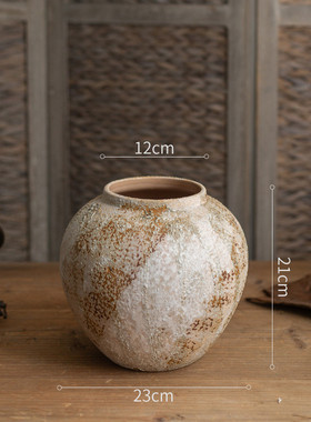 花瓶摆件客厅插花2024新款斑驳感侘寂风干花复古中式陶瓷陶罐古雅