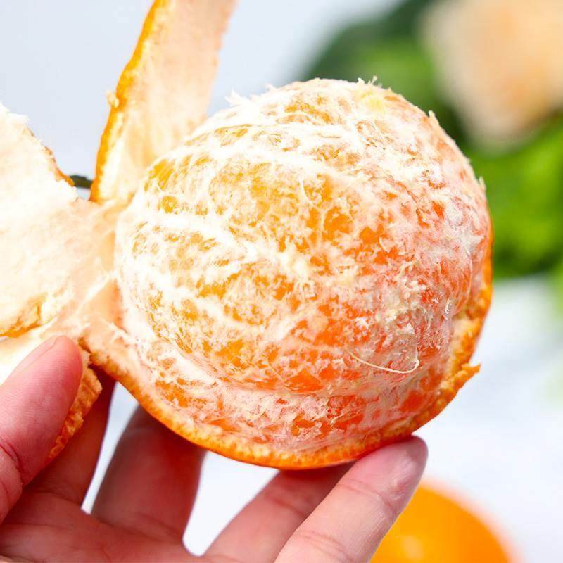 新货四川粑见耙耙柑超甜水果当季新鲜春杷柑桔子现摘干橘子旗舰店,淘宝优惠券,粉丝福利购,淘宝优惠卷