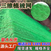 Three-dimensional Vegetation Network Geo-Network Protection Slopes Green Planting Grass Nets Geotechnical Three-dimensional Network Garden Forest Green Plus Gluten Vegetation Net