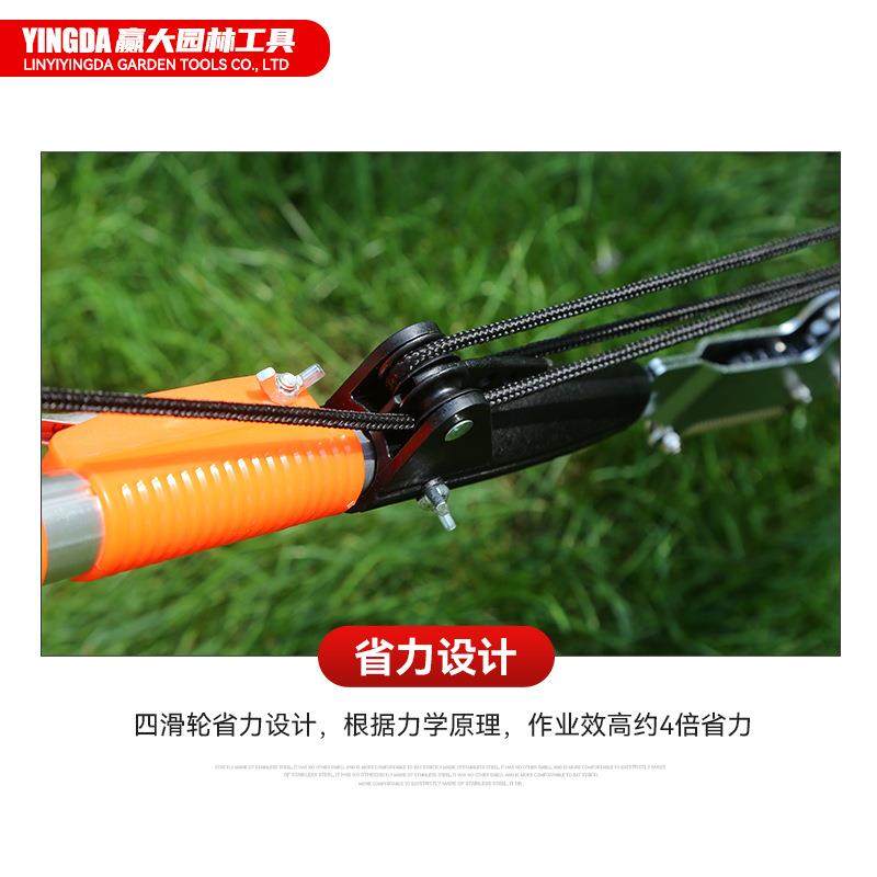 赢大省力高枝剪高空锯修枝剪铝合金伸缩杆摘果剪园林工具高枝锯,淘宝优惠券,粉丝福利购,淘宝优惠卷