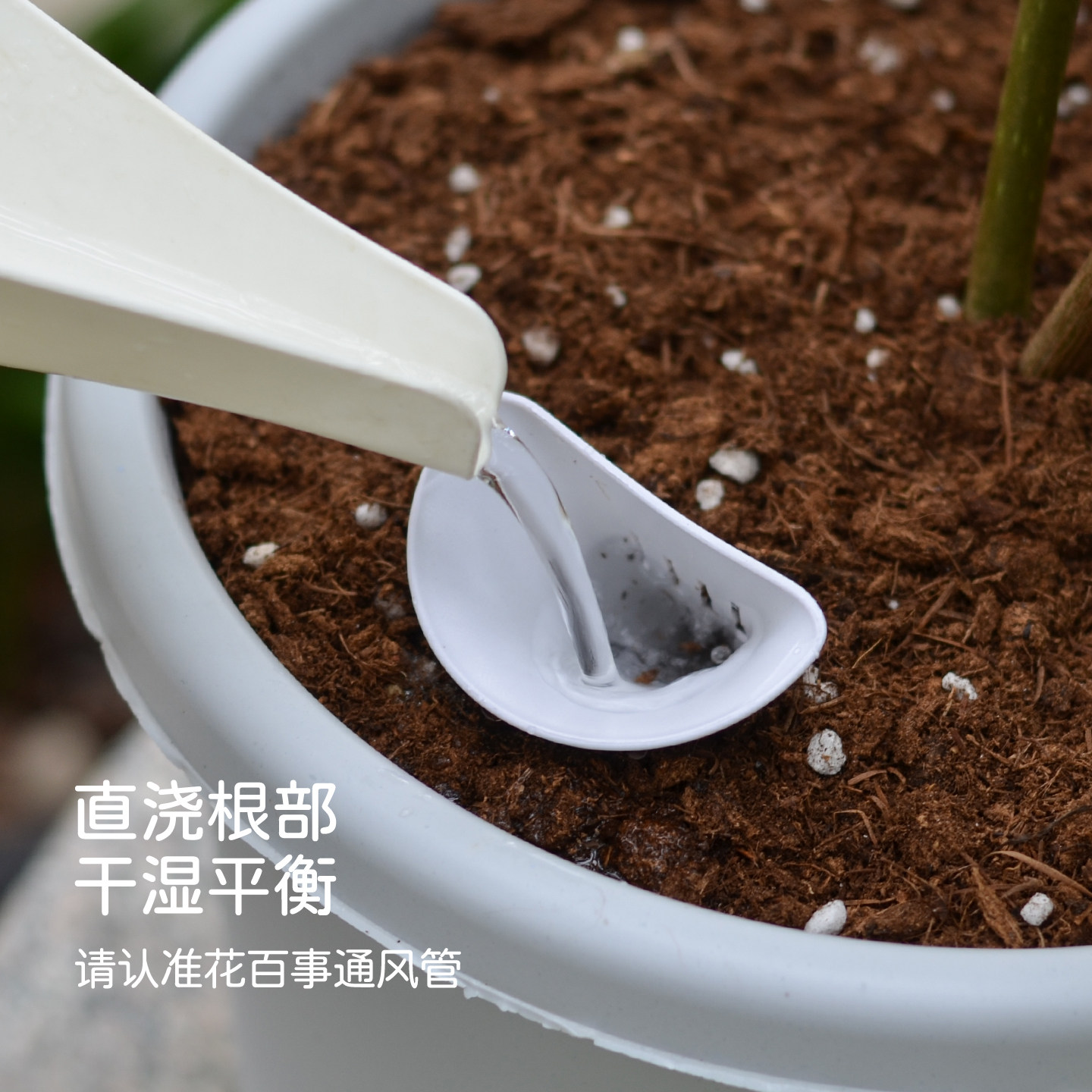 盆土通风透气管花盆花卉盆景种植种花土壤透气防板结防烂根通风管,淘宝优惠券,粉丝福利购,淘宝优惠卷