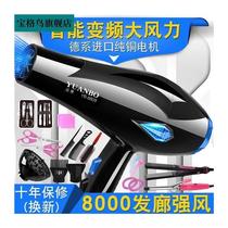 Hair Dryer Domestic Negative Ion Hair Care Silent High Power Cold Hot Air Without Injury Hair Net Red Hair Dryer Dorm Room