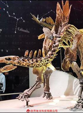 仿真剑龙化石骨架大型恐龙玻璃钢骨架化石动物骨骼化石复原展品