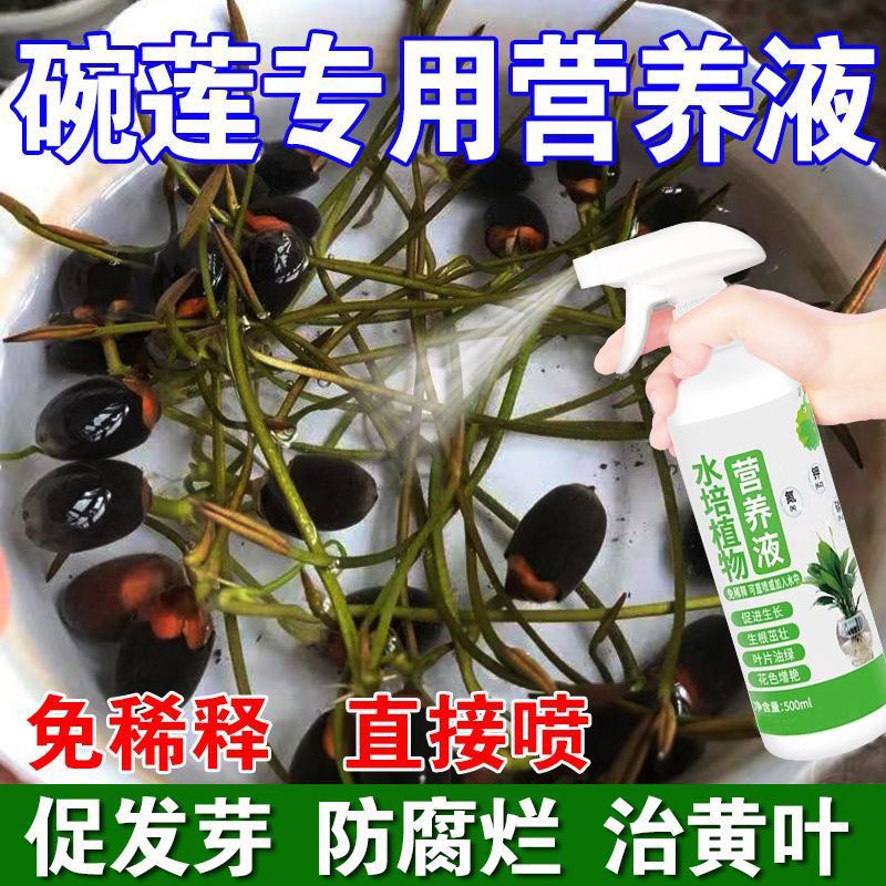 喜酸植物营养液睡莲碗莲荷花营养液水培营养液水养莲花荷室内花草 - 图0