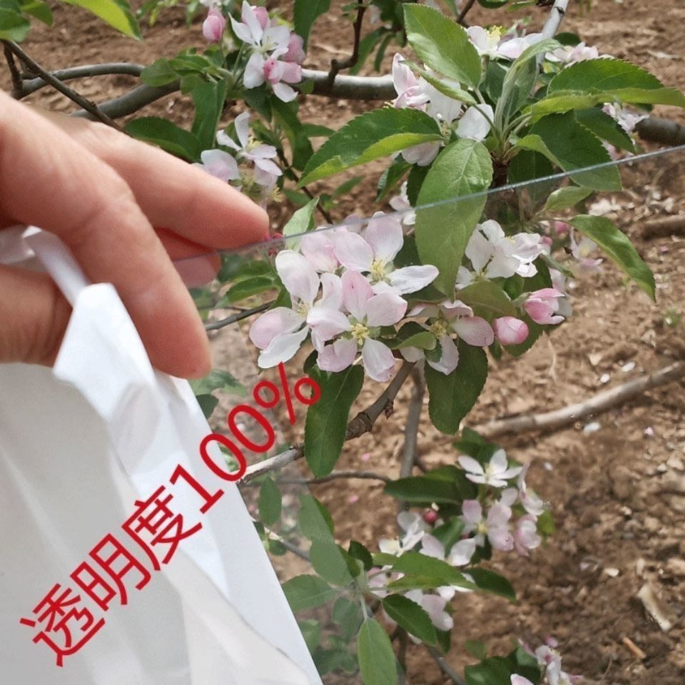 全透明耐力板阳光板彩光板有机玻璃板阳光房雨棚种植围挡整卷30米 - 图2