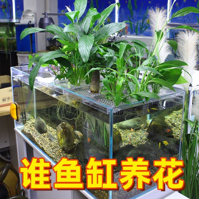 鱼缸水培植物篮家用水草种植杯壁清仓挺水植物定植篮鱼缸篮子水草,淘宝优惠券,粉丝福利购,淘宝优惠卷