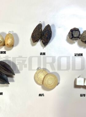 中药饰品diy材料包中药果实diy发卡项链中药冰箱贴植物耳饰diy