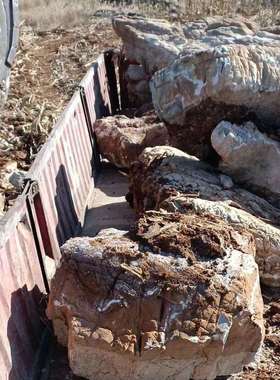 天然精品龟纹石专业假山驳岸水系施工草坪点缀石叠山盆景