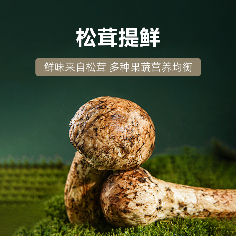 大山合太然松茸鲜鲜调味料替代鸡精和盐无添加炒菜煲汤菌菇调味料