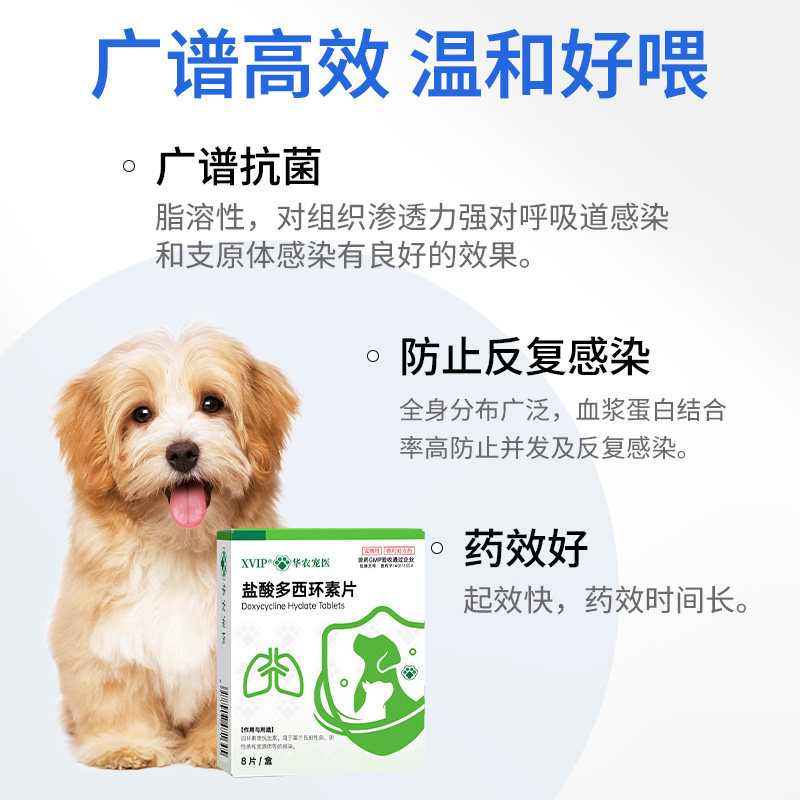 华农宠医盐酸多西环素片幼猫咪感冒药咳嗽流鼻涕打喷嚏猫消炎鼻支,淘宝优惠券,粉丝福利购,淘宝优惠卷