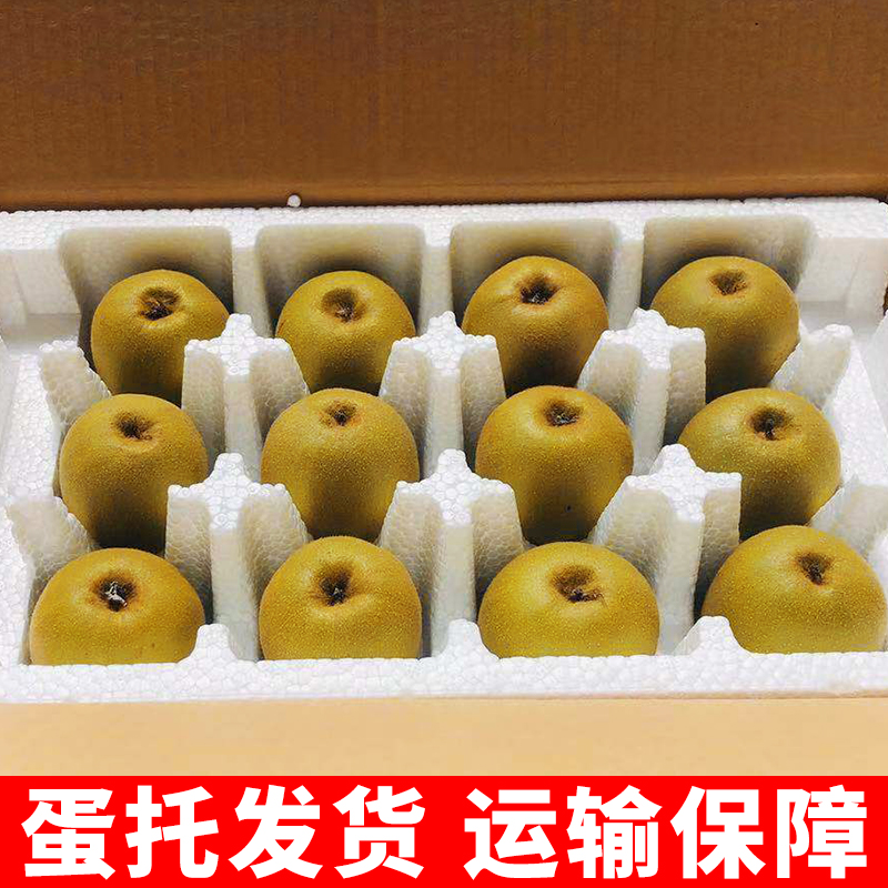  摘果欢水果奇异果/猕猴桃