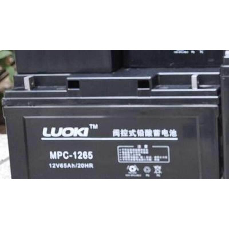 LUOKI洛奇蓄电池MPC65-12铅酸12V65AH/20HR直流屏UPS电源用电瓶-图2