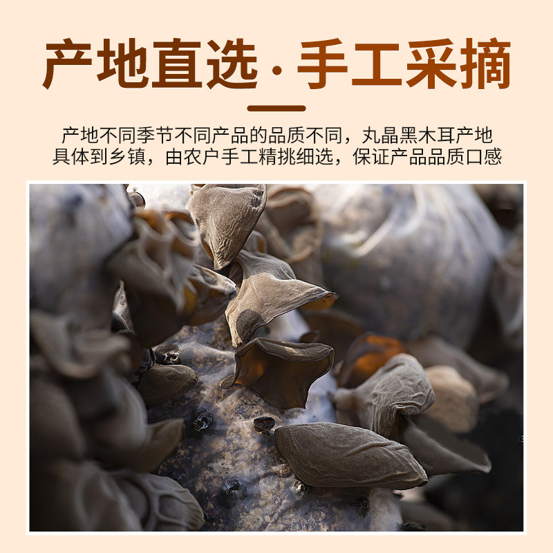  丸晶食品黑木耳