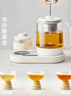 德国新款迷你玻璃养生杯自动保温