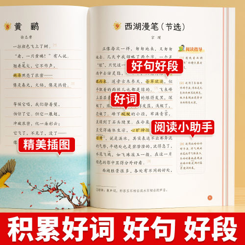 晨读100篇小学语文每日晨读美文337晨读法打卡表一二年级三四五六年级课外阅读上下册晨诵晚读优美句子好词好句好段素材积累大全书 - 图0