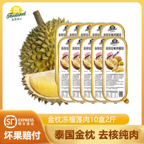 Import Thai Golden Pillow Baking Non-nuclear Fresh Pure Fruit Meat Frozen Bab Palm Durian Meat Small Gold Bar Hot And Cold Tree Cooked