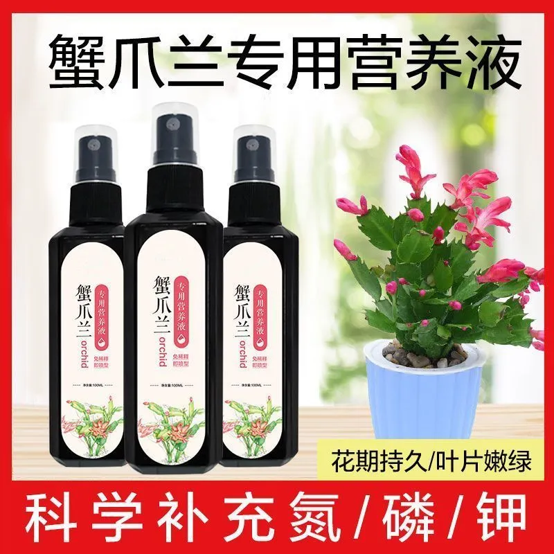 【急救软烂】蟹爪兰急救发蔫软烂去黄叶开花壮根液体肥专用营养液,淘宝优惠券,粉丝福利购,淘宝优惠卷