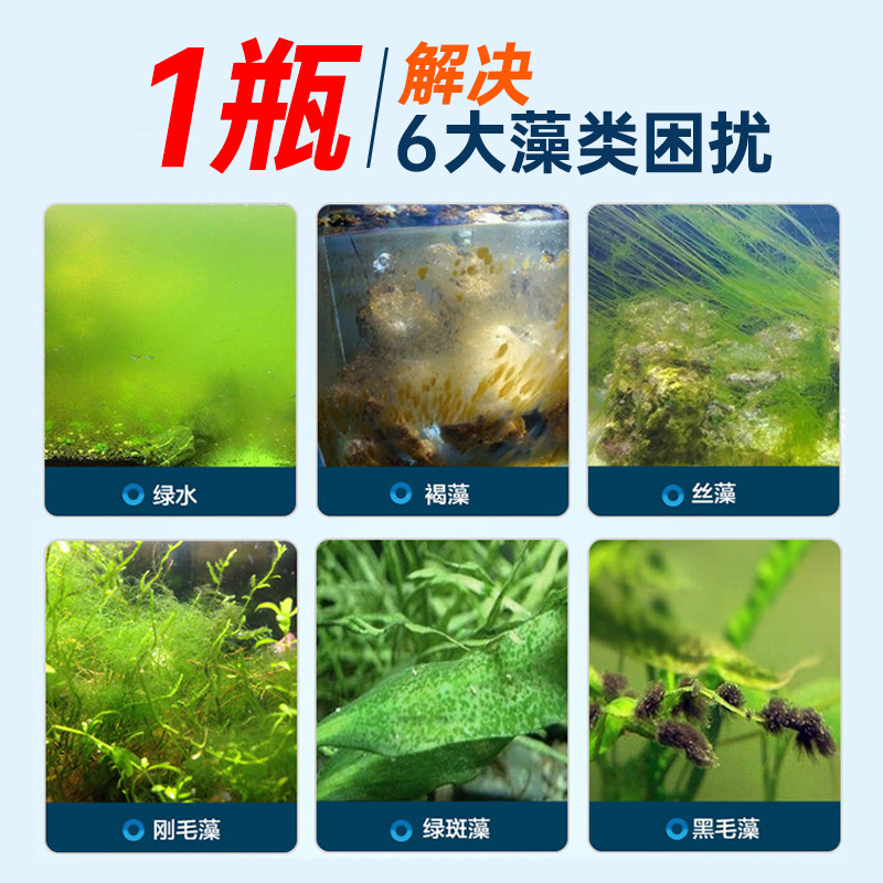 鱼缸除藻片绿藻青苔清除神器鱼缸除绿水褐藻丝藻黑藻水垢新款