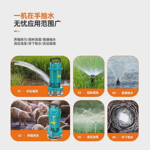 涌瑞潜水泵220V水泵家用抽水高扬程农用灌溉清水泵Y污水泵抽水泵 - 图3