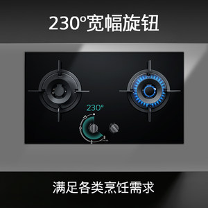 【等级机】SIEMENS/西门子ER88JF23MP 家用燃气灶5.0大火力天然气
