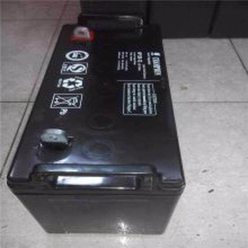 NP100-12 12V100AH EPS UPS专用蓄电池质保三年包邮-图1