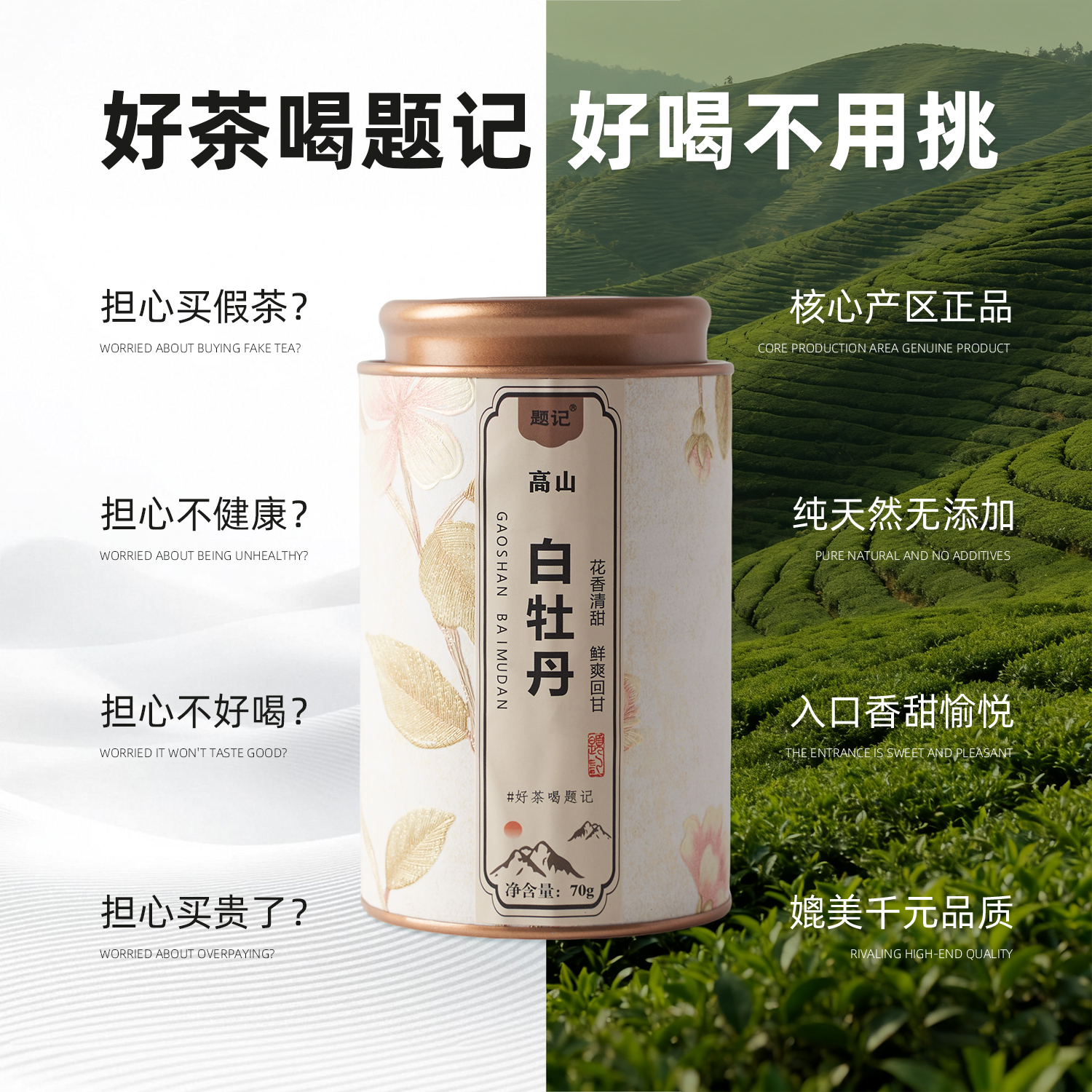 【新品特惠】福鼎白茶正宗高山荒野白牡丹题记花香清甜适合女性喝 - 图2