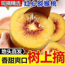 Authentic Sichuan Red Hearts Chic Exotic Fruits Fresh Fruit When Season Should Season Pregnant Women Fruits Mud Monkey Peach 5 Catty