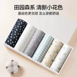 Хлопковые трусы, штаны, спортивный дышащий утягивающий пояс на талию, высокая талия, с акцентом на бедрах, большой размер