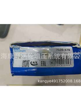 德尔福喷油泵修理包7135-4789303-501A,ENT210027,9303-541A