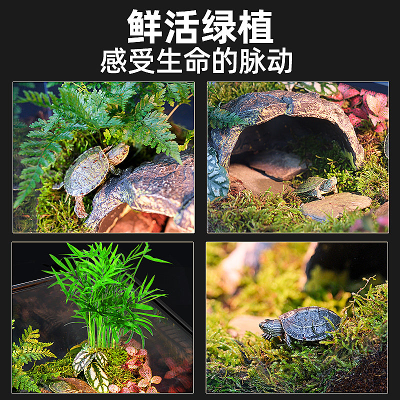 超白玻璃乌龟缸饲养箱半水龟黄缘生态造景加温水陆两栖带盖家用缸,淘宝优惠券,粉丝福利购,淘宝优惠卷