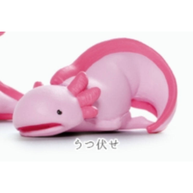 【来吃谷】预售   YELL扭蛋 虚无动物 六角恐龙篇 粉色 娃娃,淘宝优惠券,粉丝福利购,淘宝优惠卷