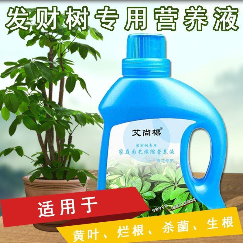 发财树营养液专用肥花肥料室内盆栽植物金钱树土水培通用浓缩家用-图2