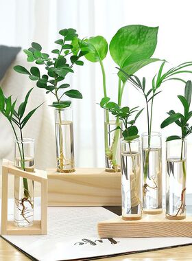 小清新创意木工艺品透明玻璃水培植物容器桌面电视柜装饰摆件