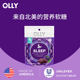 OLLY melatonin gummy sleep tablet ຫຼຸດເມລານິນ ແລະ ຊ່ວຍໃຫ້ນອນຫຼັບດີ ນຳເຂົ້າຈາກສະຫະລັດອາເມລິກາ 10 ເມັດ
