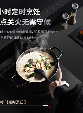 SCHNEIDER嵌入式凹面电磁炉家用