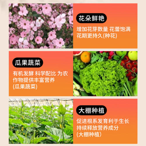 豆粕有机肥花肥料腐熟芝麻饼肥底肥种菜花卉种蔬菜专用农家肥通用 - 图3