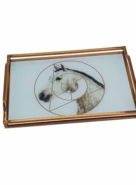 北欧轻奢金属玛瑙托盘长方形家用放茶水杯家用茶盘水Y果盘装饰品