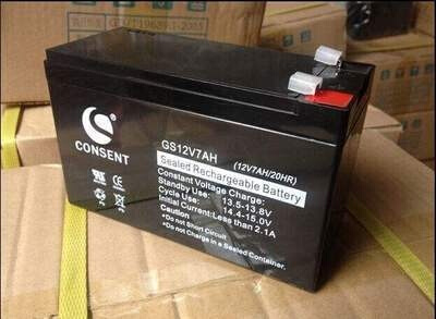 CONSENT蓄电池GS12V38AH消防主机12V7A9A12A24A65A100AH200AH - 图2