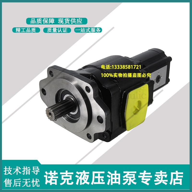 液压铸铁齿轮泵HDP35.112-qD0-06S8-LMF/ME PLP20.20-LEB/EA/FS-1 - 图0