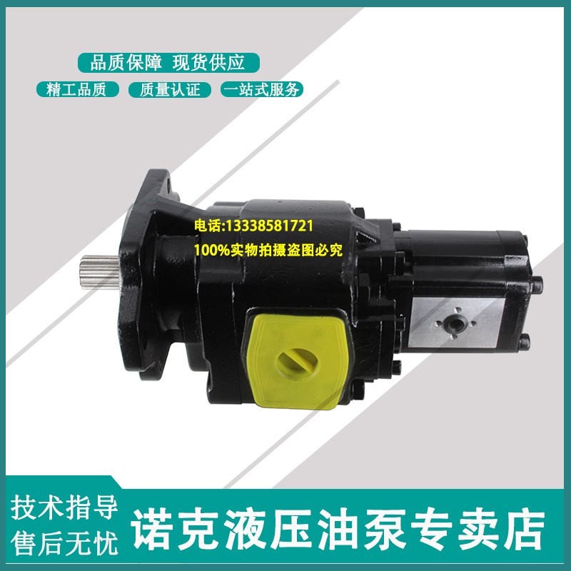 液压铸铁齿轮泵HDP35.112-qD0-06S8-LMF/ME PLP20.20-LEB/EA/FS-1 - 图1