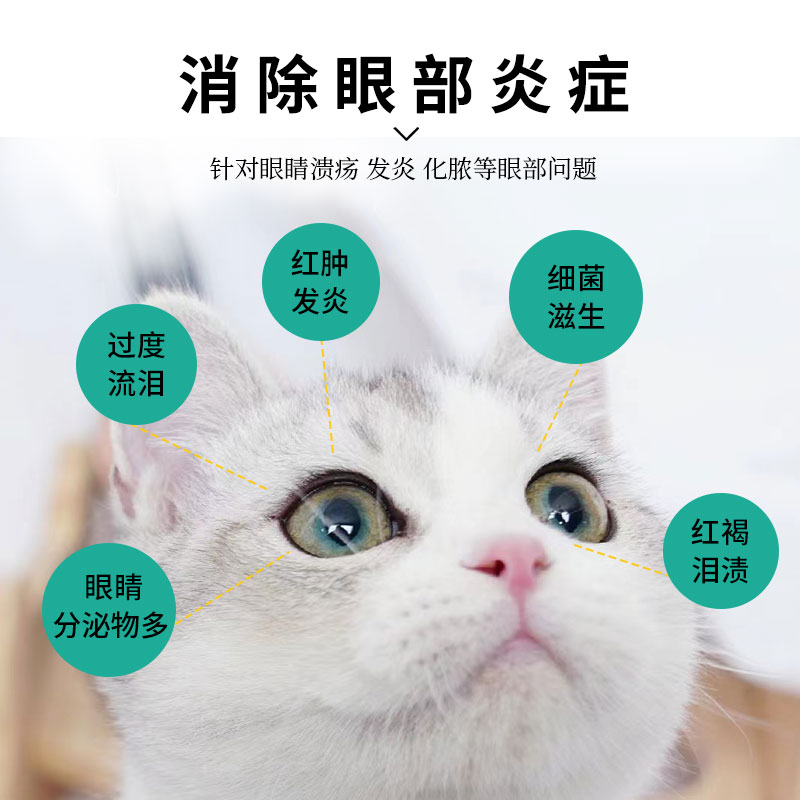 杏辉滴朗狗狗眼药水猫咪发炎宠物见大微素滴眼液抗菌猫鼻支滴眼液 - 图2