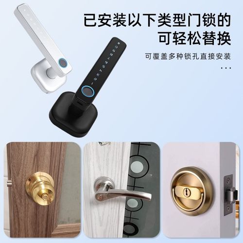 出口外贸把手锁电子智能感应锁替代J球形锁三杆门锁指纹密码 - 图1
