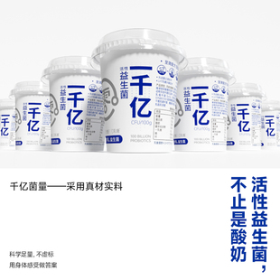 千亿益生菌低温原味发酵酸奶100g*24瓶