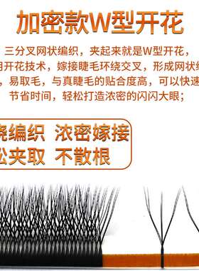 极速w型嫁接睫毛水貂毛浓密一秒自动开花IW型睫毛种植假睫毛美睫